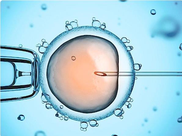 2024泰国全球殖中心试管费用指南孕诚助孕支出明细参考