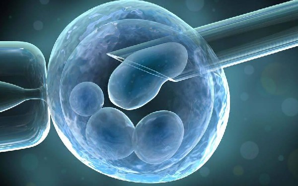 囊胚三期和四期有什么区别，正确分辨方法1分钟就能学会