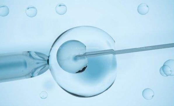 试管二代转三代需要多久进来瞧囊胚筛查就耗时不短