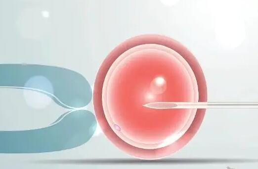 试管婴儿对于优势卵泡要求,泰国杰特宁按患者情况促排