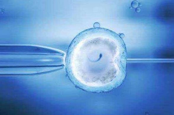 试管婴儿打夜针很重要，什么时候打要看卵泡发育程度